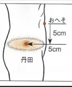 丹田の位置